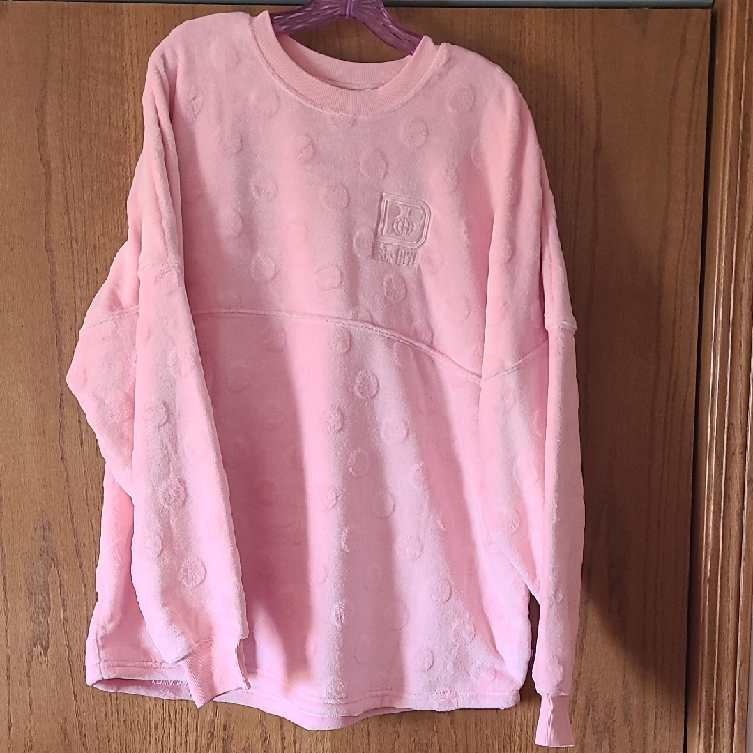 Walt Disney World Spirit Jersey Piglet Pink Fuzzy Soft Sweatshirt, Xl